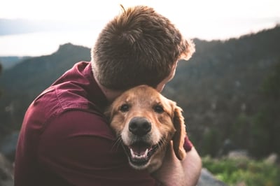 Animals Can Save Lives, Too!